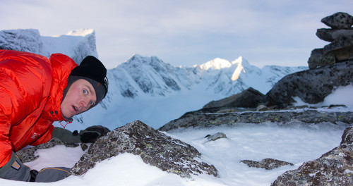 Her ser man tindedyret som er sjeldent observert i sitt naturlige habitat.