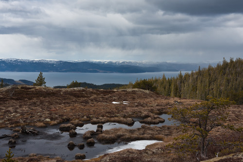 Ruskevær innover fjorden.