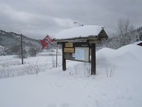 Start på skogsbilvei