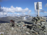 Frigg på Fedalsnibba med Stolshyrna bak.