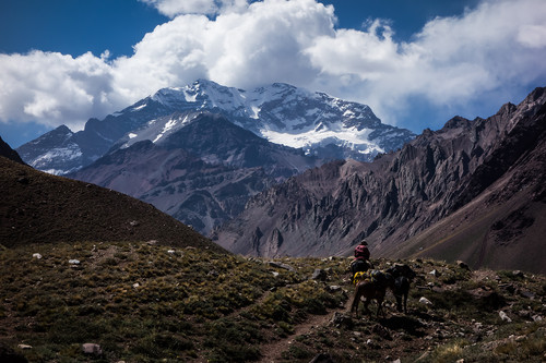 Aconcagua ruver over Horconesdalen.