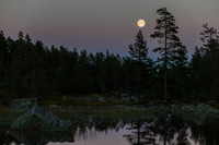 Fisketjønn i måneoppgang