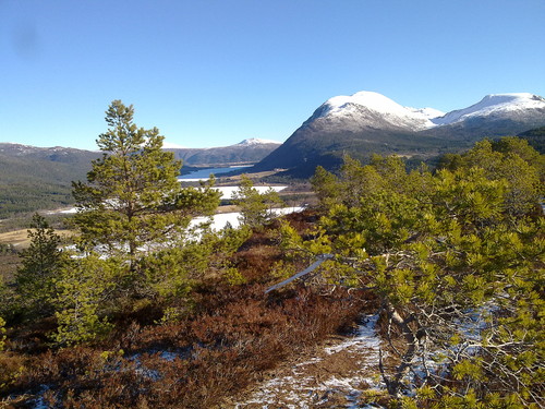 Mot Langvatnet, Bollen (bak), Talstadhesten og Heian