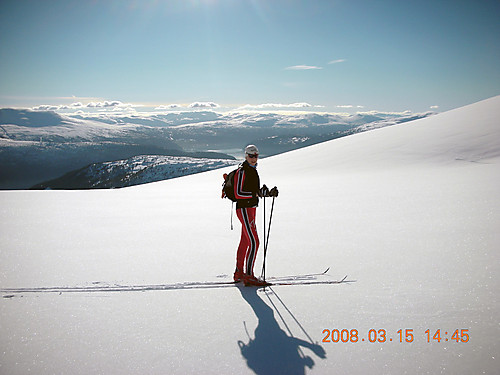 Ved Hestefjellet. Utsikt utover i Nordfjorden.