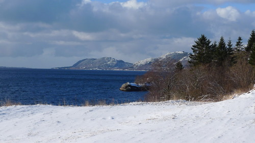 Utsikt fra Hatlemstranda vestover mot Fjellstjørnryggen midt i bildet og Sørbøheia til høyre