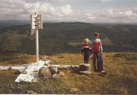 På Neseseterfjellet