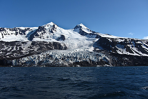 Beerenberg med Weyprecht-breen som kalver rett ut i havet.