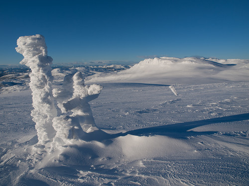 Vi fulgte det værharde skiltet, mot Gråfjell.