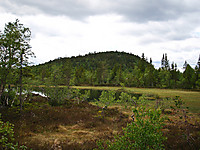 Knarren sett fra sørøst