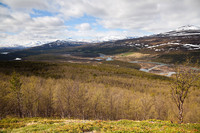 Såvidt over tregrensa med utsikt mot Sjodalen på den rødmerkede stien mot Stuttgongkampen.