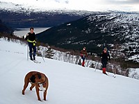 På Nakken med Strynebukta og Hogden bak.