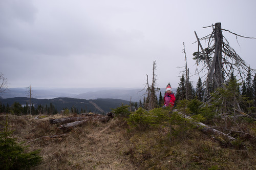 Med utsikt til Lillehammer og Mjøsa