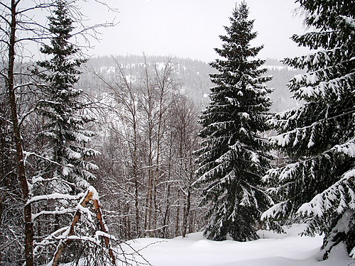 Djup snø ved Bjørnestillingsåsen. Ser mot Annevasshøgda.