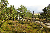 På toppen av Signalhaugen. De tre boltene ligger bak gjerdet.