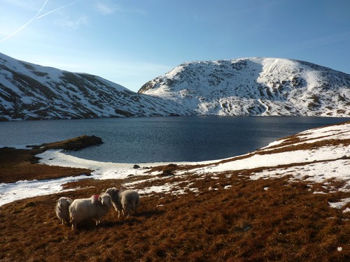 By Grisedale tarn, looking towards Seat Sandal