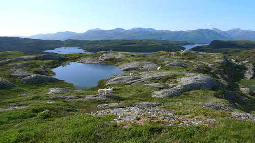 Flott landskap nord for Mjølausa