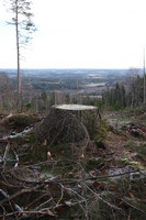 Topp punktet Sundbyvarden