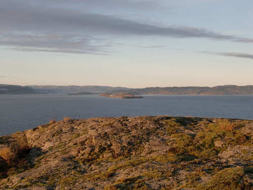 Langøya i det fjerne - full av gift