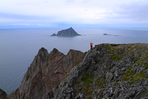 Pinaklene Stigen og Sørfugløya