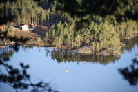 Idyllisk fiske med oter på Vråvatn i kveld:)