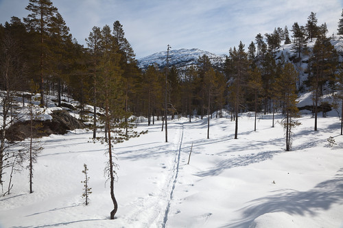 På sadelen nord for Godokkfjellet får vi øye på snaufjell.