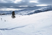 Ved enden av den oppkjørte løypa i retning Storfjellet