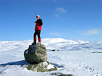 Jeg peker mot Gråfjell fra Toveåsen (?).