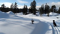 Flott på Holtefjell!