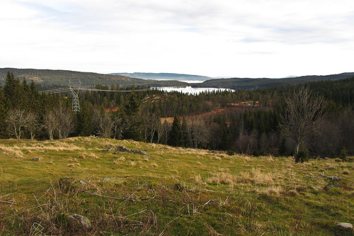 Gjerdingen sett fra Roensætra.