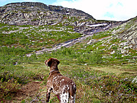 På vei til Napuren. Her ved elva som kommer fra Kuskardtjørnin