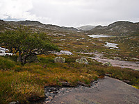 500fjell_p8270273.jpg