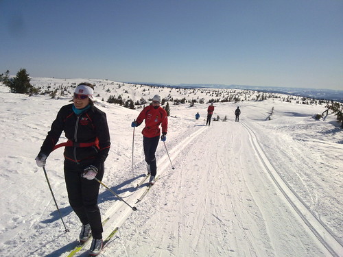 På veg mot Lunkefjell fra Sjusjøfjellet