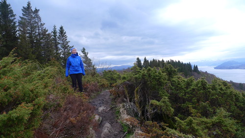 Astrid på det høyeste, umarkerte punktet på Indregardsfjellet