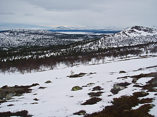 På vei mot Elgåhogna ovenfor Hammarvollen. Femunden ses bak.