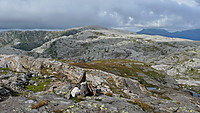 Den avrundete grå kollen i bakgrunnen er Høganovi. Sett fra Gråfjell-området i sør.