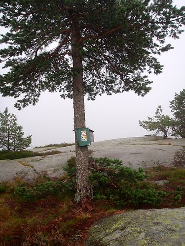 Kasse på toppen med bok.