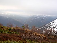 500fjell_lomhest2.jpg