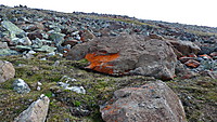 Kunst i fjellheimen - Raudberglav på brune dunitt steiner