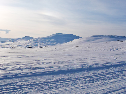 I dag skulle egentlig Rypeskarrennet gå av stabelen her oppe. Men pga lite snø ble det avlyst. Likevel så jeg at det var kjørt opp skiløyper i området. Sentralt i bakgrunnen ses kveldens mål - Dunheia. Ble en rask tur, brukte 1t 30min til topps.