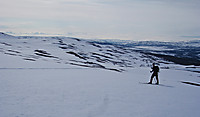 Pappa i bakkene opp fra Russelvdalen.