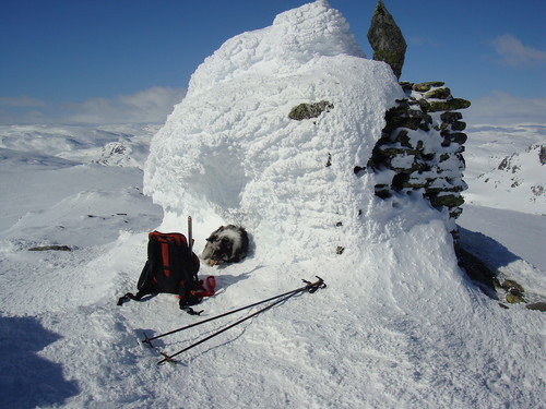 Ronja slapper av i le av Varden på Vassdalseggi påska 2012