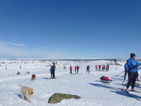 På Sjusjøfjellet