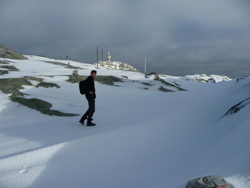 Fast snø på toppen