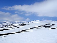 500fjell_lomhest10.jpg