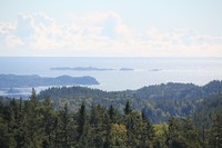 Svenner ute i fjorden