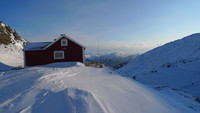 Vi traff på Gjøken her oppe i vinterlandet!