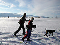 Fine skispor opp mot Krøkla fra Søtdalen. Store-Ble bak.