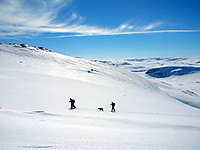 500fjell_2008-04-19_14.jpg