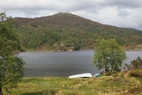 Hananipa sett fra skogsveien som leder opp mot Krånipa