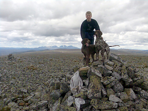 Meg, Lego og Scott på toppen av Tverrfjellet med Rendalssølen bak.